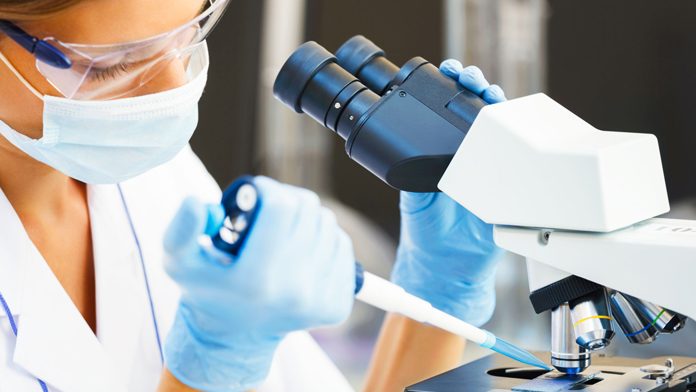 Nobel: esperto, da studi Ohsumi scoperta Nobel: esperto, da studi Ohsumi scoperta