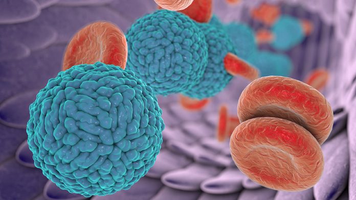 Salute: svelato 'trucco' dei virus, cosi' ingannano l'organismo