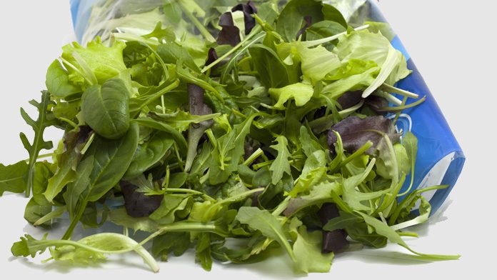 Studio shock sull'insalata in busta: Studio shock sull'insalata in busta: