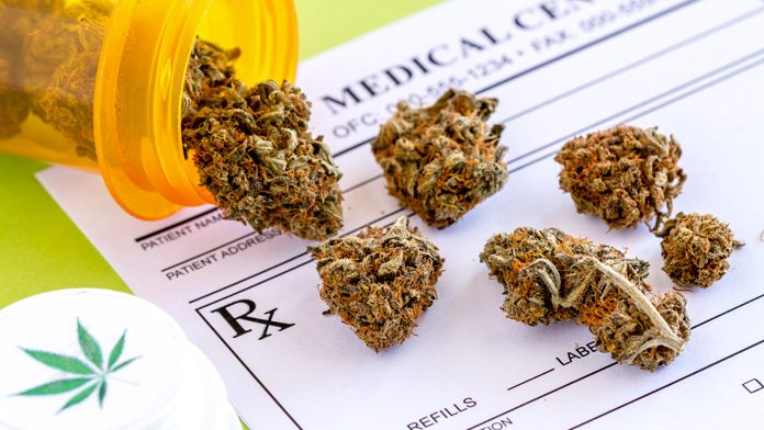 http://www.ok-salute.it/wp-content/uploads/2017/01/cannabis-farmacia-696x392.jpg