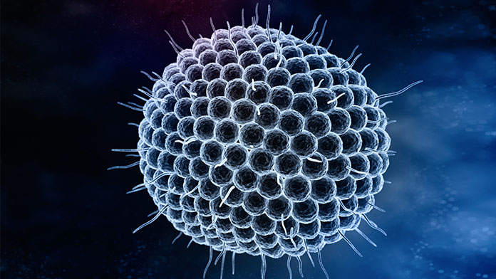 Virus della varicella