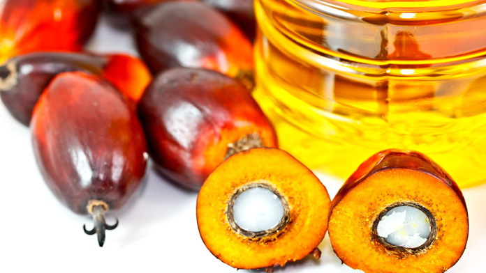 L’olio di palma ricco di grassi saturi