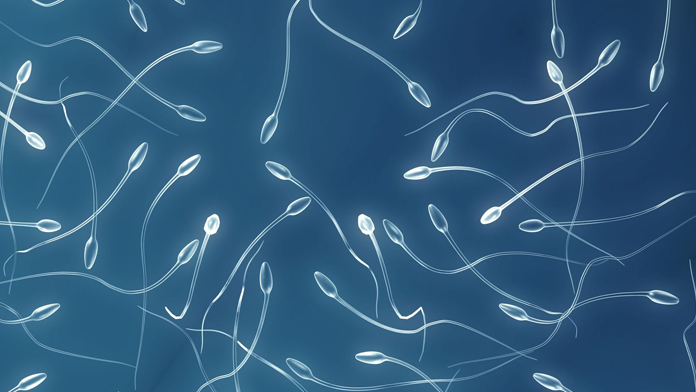 numero di spermatozoi è diminuito