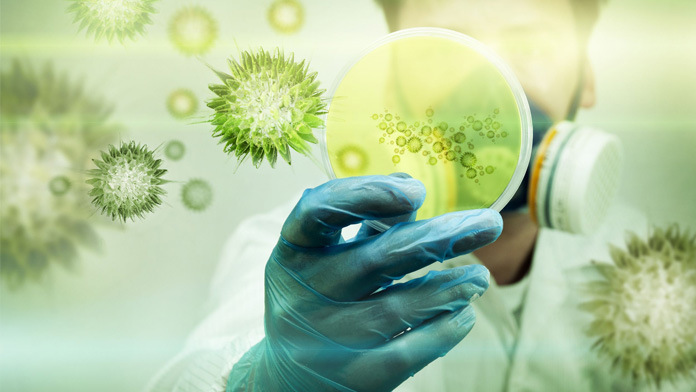 PTX3 gene anti cancro