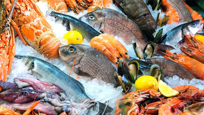 Pesce grasso Pesce grasso