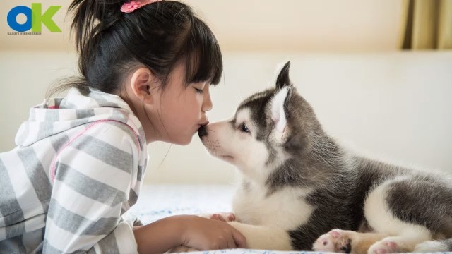 i benefici dei cani