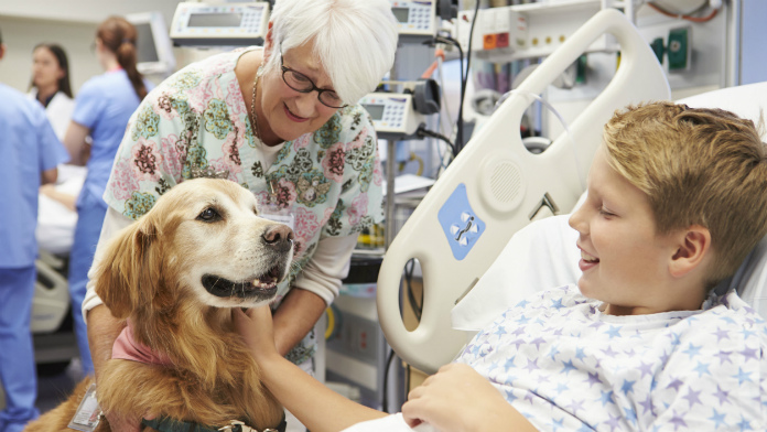 cani e gatti in ospedale