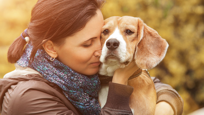 Animali domestici e cuore