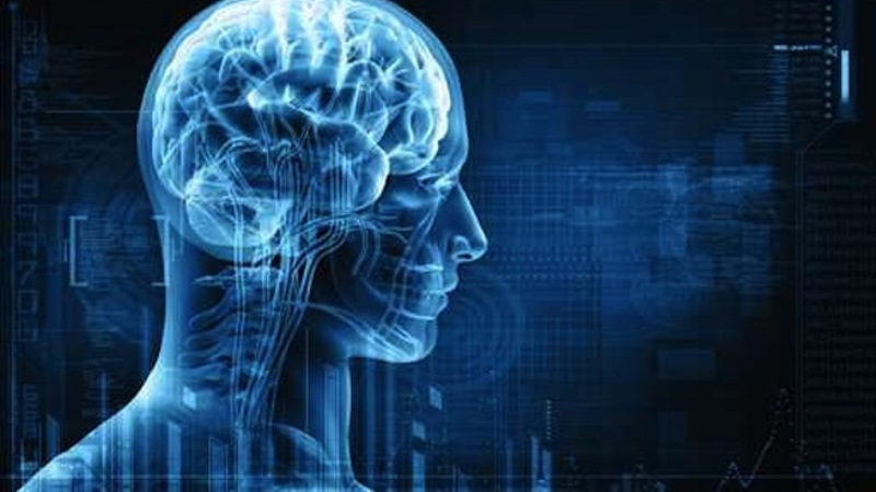 Epilessia