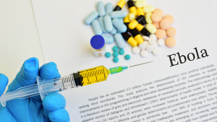 ebola e deforestazione