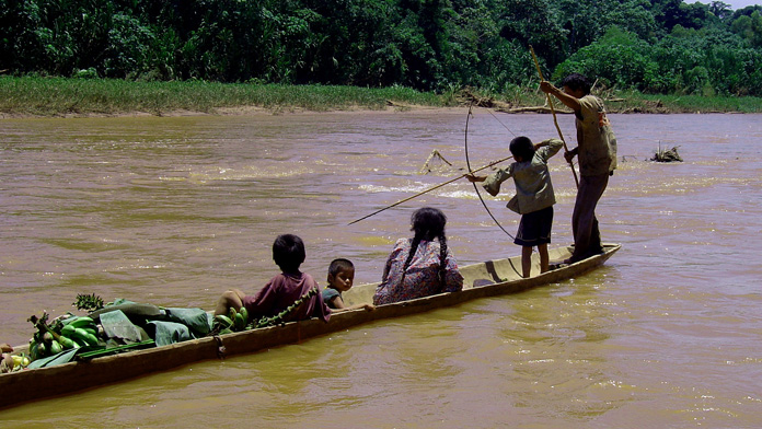 Gli indigeni dell'Amazzonia hanno i cuori più sani del mondo