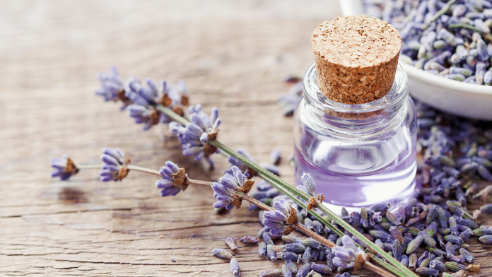 Olio essenziale di lavanda