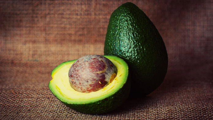 avocado cervello