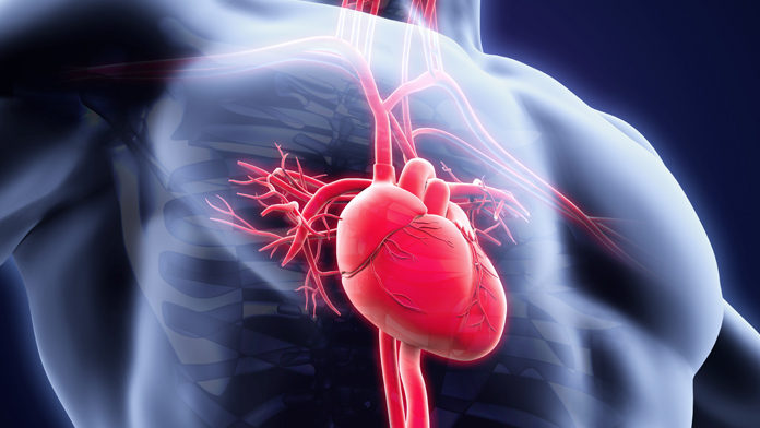 bypass-coronarico-biologico Funziona il bypass biologico per il cuore