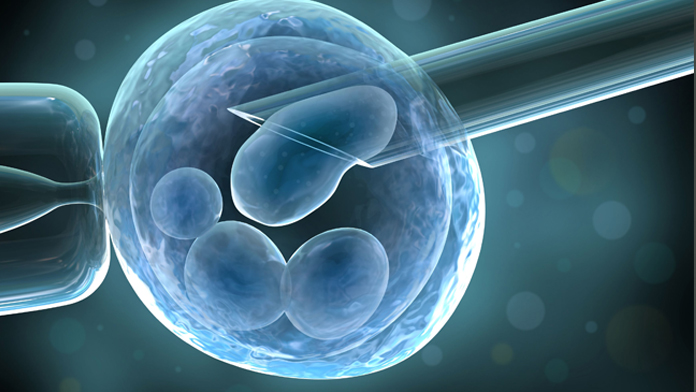Modificato il Dna di embrioni umani per eliminare una grave malattia ereditaria