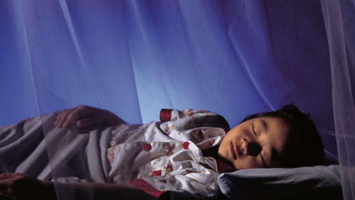 Sanita': Dg Trento, stesso parassita per Sofia e bimbe con malaria Sanita': Dg Trento, stesso parassita per Sofia e bimbe con malaria