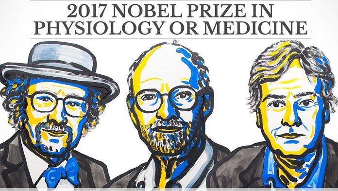 Nobel per la medicina: premiato lo studio sull'orologio biologico Nobel per la medicina: premiato lo studio sull'orologio biologico