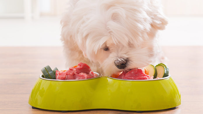 cane dieta ideale cane dieta ideale