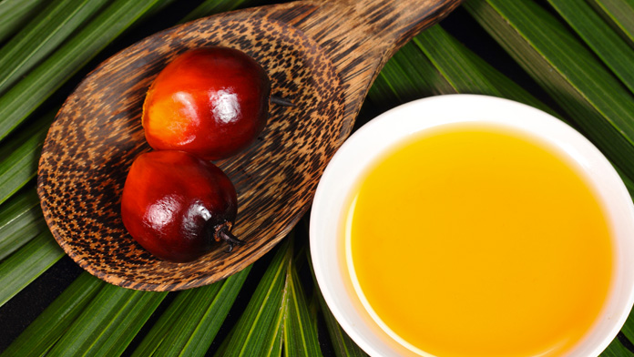 caratteristiche dell'olio di palma