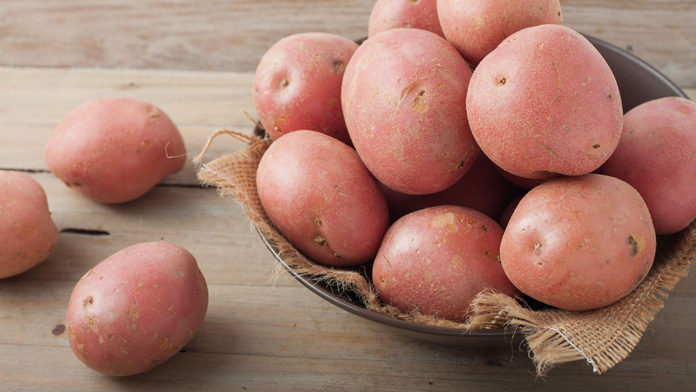 patata-oro Pronti a mangiare la “patata d'oro”? E' super nutriente