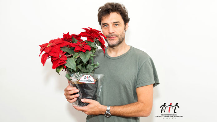 stella di natale ail stella di natale ail