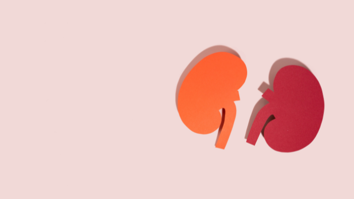 How do you live with only one kidney?