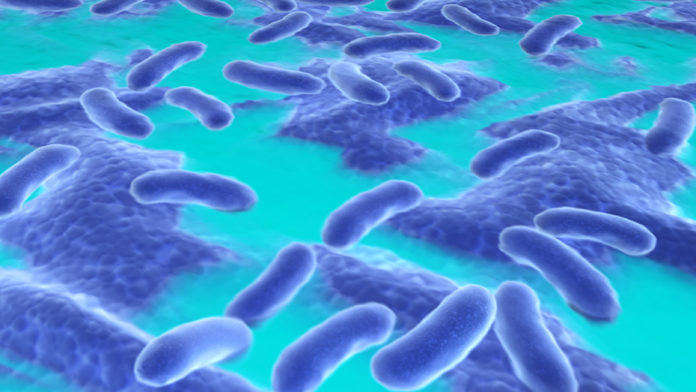 Nuovo antibiotico Nuovo antibiotico