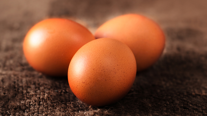 Uova di galline che mangiano bio