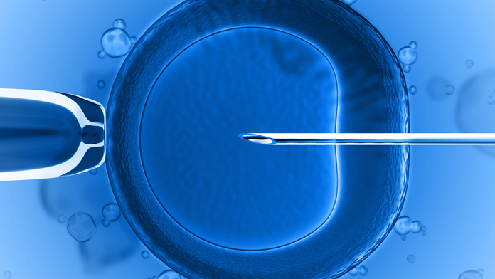 embrione artificiale