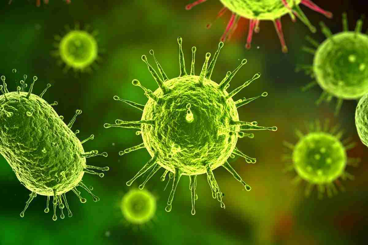 Papillomavirus al microscopio
