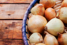 Cipolla anti influenza