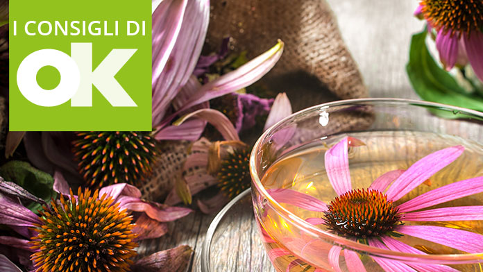 Echinacea a cosa serve