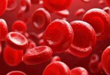 immagine di globuli rossi ingranditi al microscopio