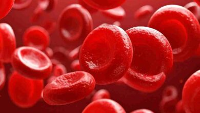 immagine di globuli rossi ingranditi al microscopio
