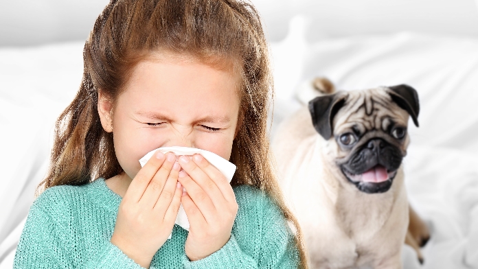Allergia ai cani