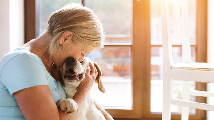 salute e compagnia di un animale domestico