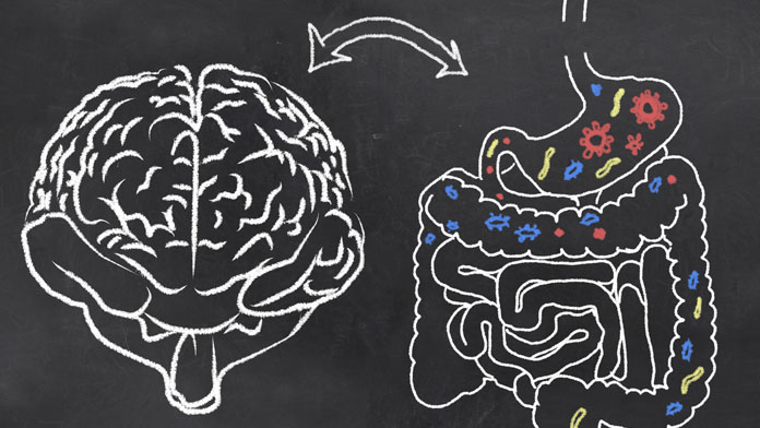 Intestino e Alzheimer