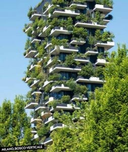 bosco verticale 