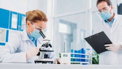 ricercatori analizzano i dati di studio