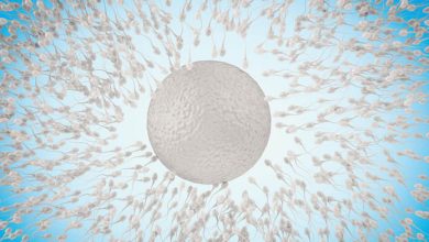 Mobilità degli spermatozoi