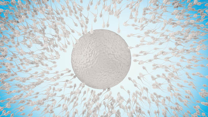 Mobilità degli spermatozoi