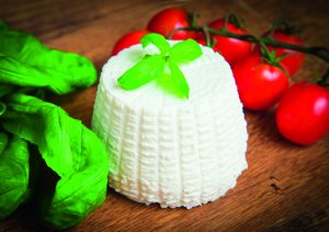 ricotta