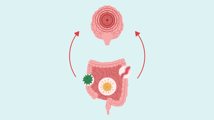 Legame tra intestino e cervello