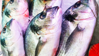 pesce da acquistare