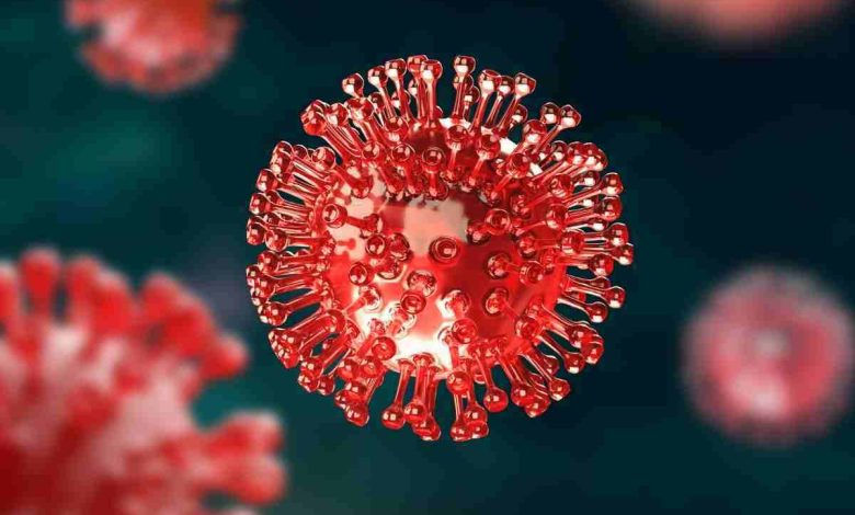 variante omicron al microscopio