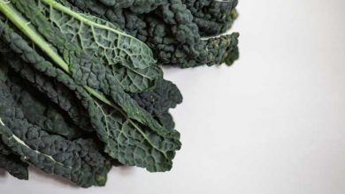 Cavolo nero