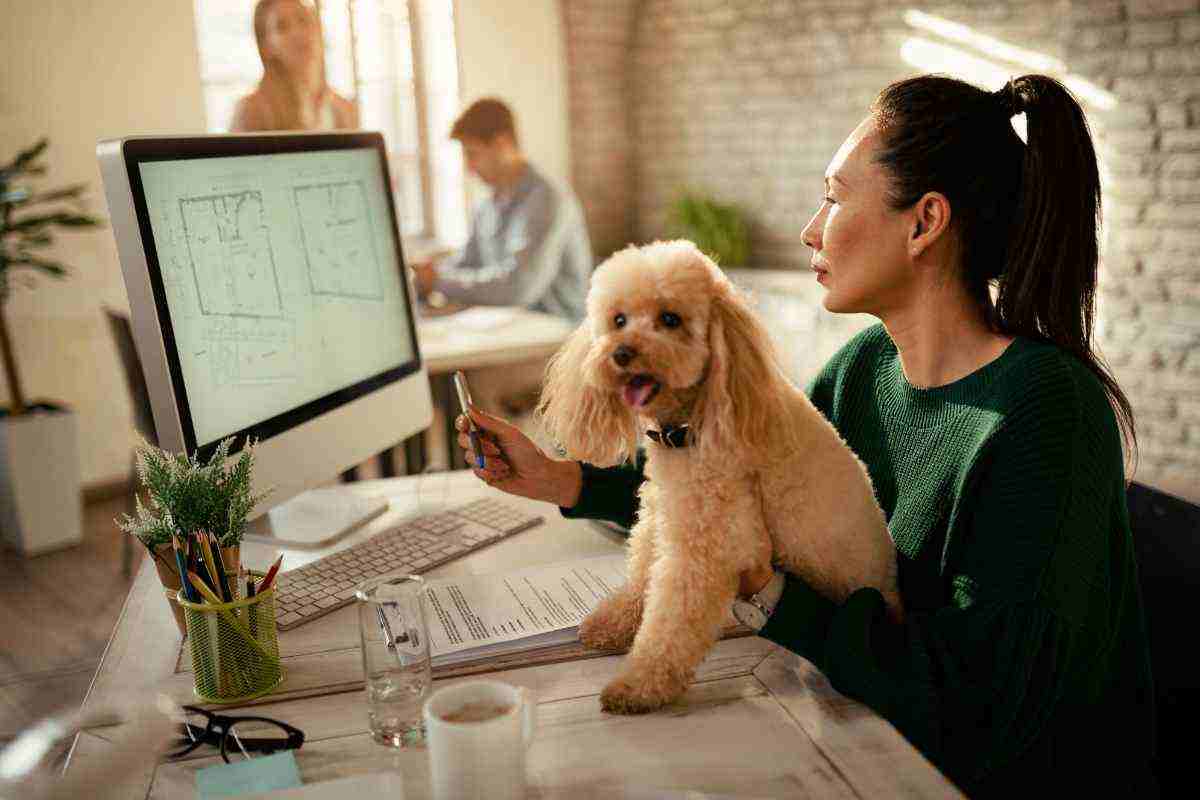 un architetto davanti al computer al lavoro con il proprio barboncino in braccio
