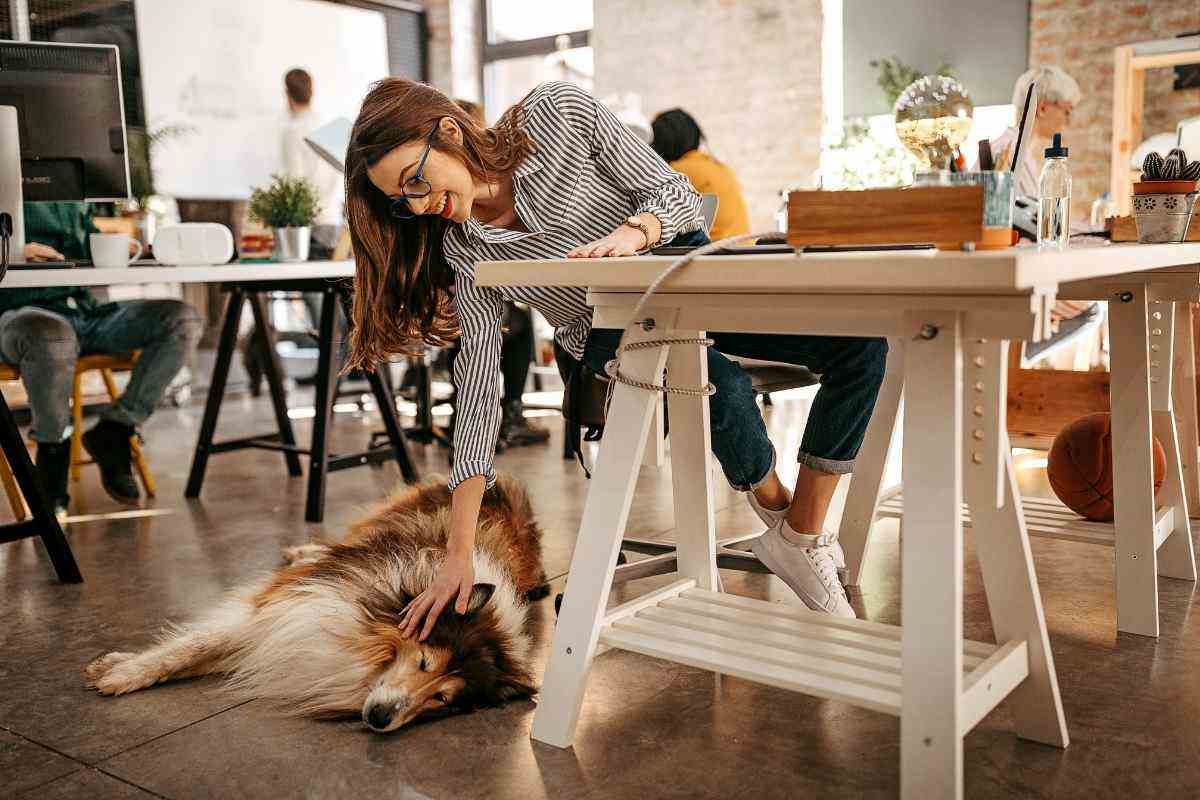 un'impiegata accarezza un cane in ufficio