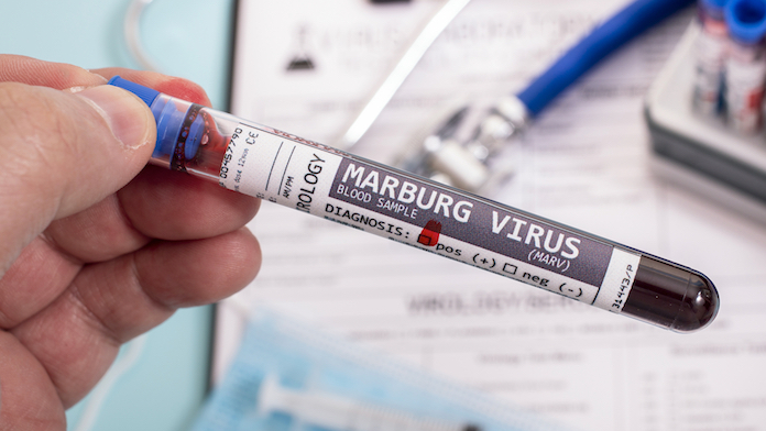 Virus Marburg
