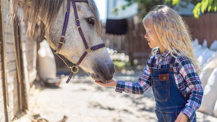 equitazione